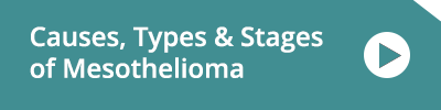 Mesothelioma causes Mesothelioma causes